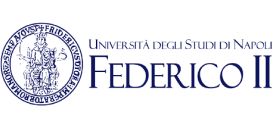 University Federico II of Naples